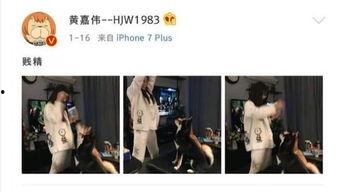 娱乐圈吃瓜小三是谁呀,娱乐圈吃瓜小三是谁？揭秘神秘人物背后的真相